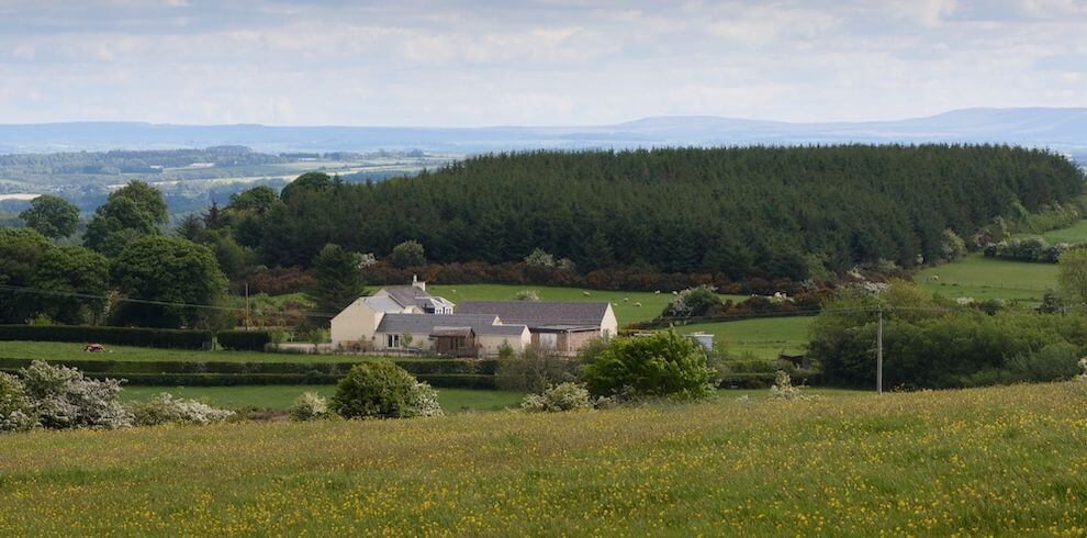 View of the Bungalow