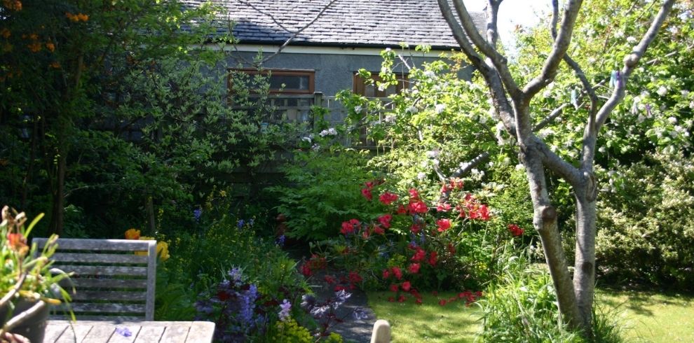 Private garden surrounded by trees and bushes