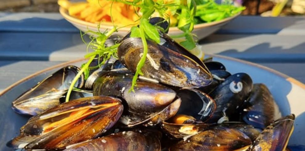 Mussels and fries