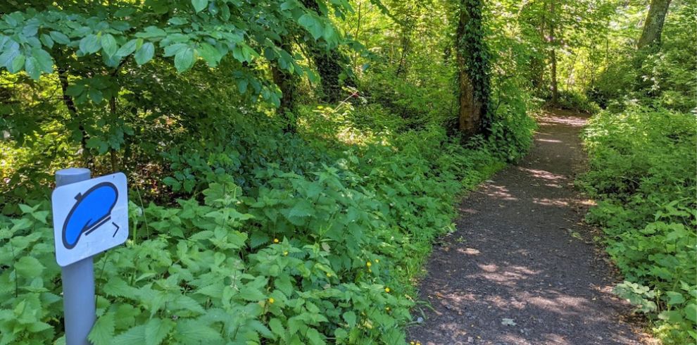 path through the woods along with a blue bonnet sign