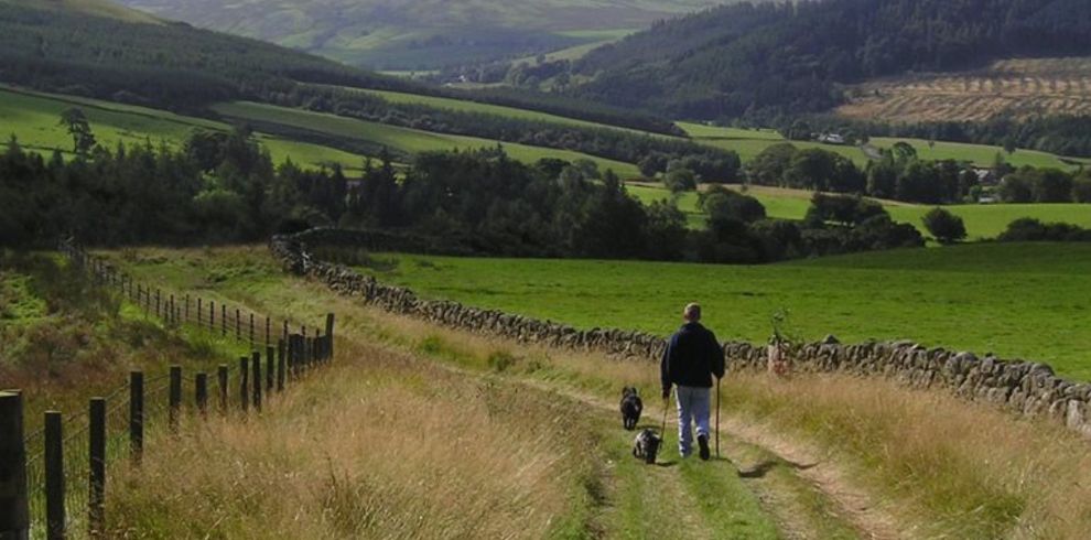 a person was dogs along a path in the countryside