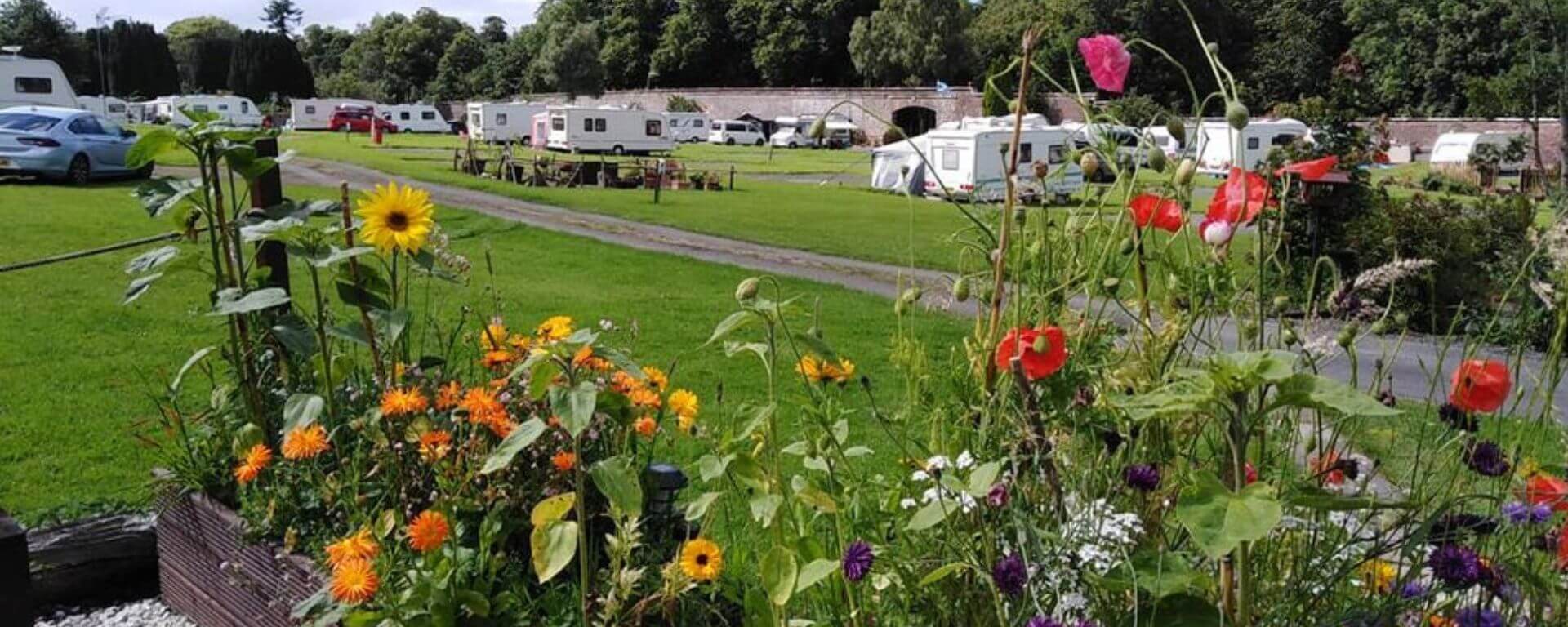 Caravan site with caravans in walled garden.