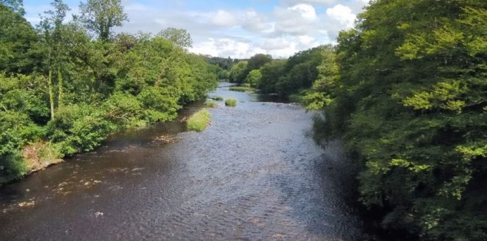 View of a river surrounded by trees.