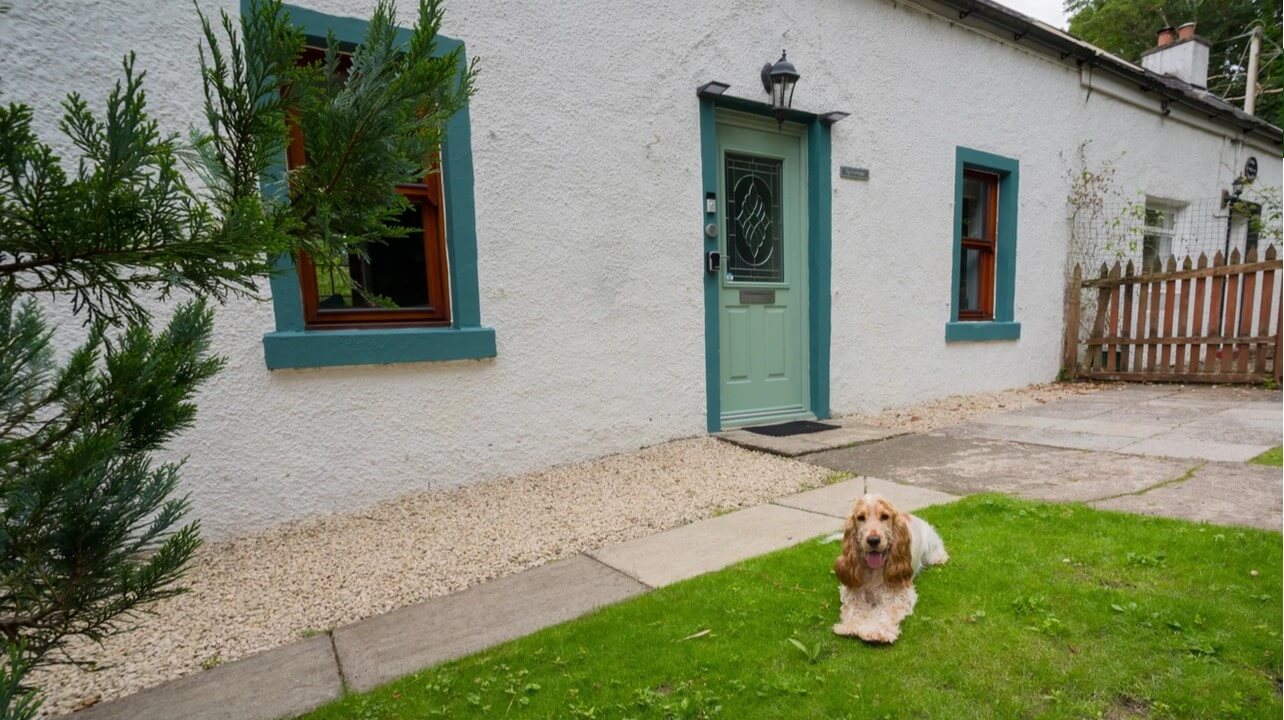 A picture of Tig Cottage with a dog.