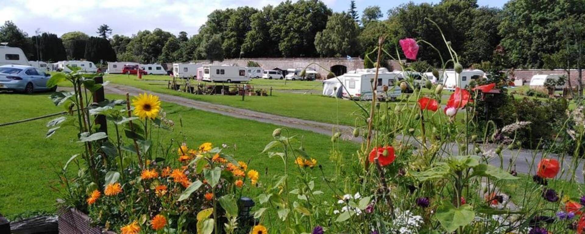 Summer flowers and caravans in the background.