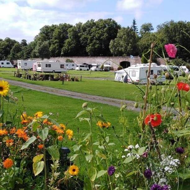 Summer flowers and caravans in the background.