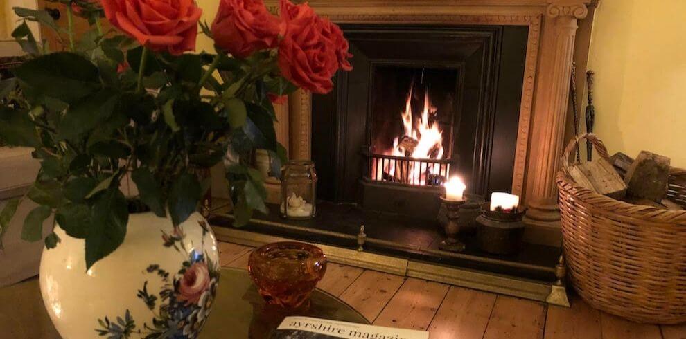 a roaring fire with a vase of flowers in the foreground