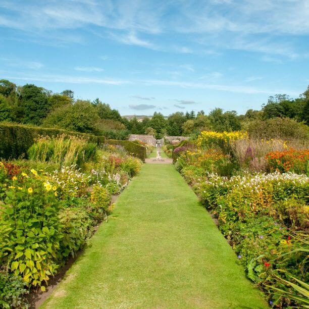 Beautiful garden with grass path.