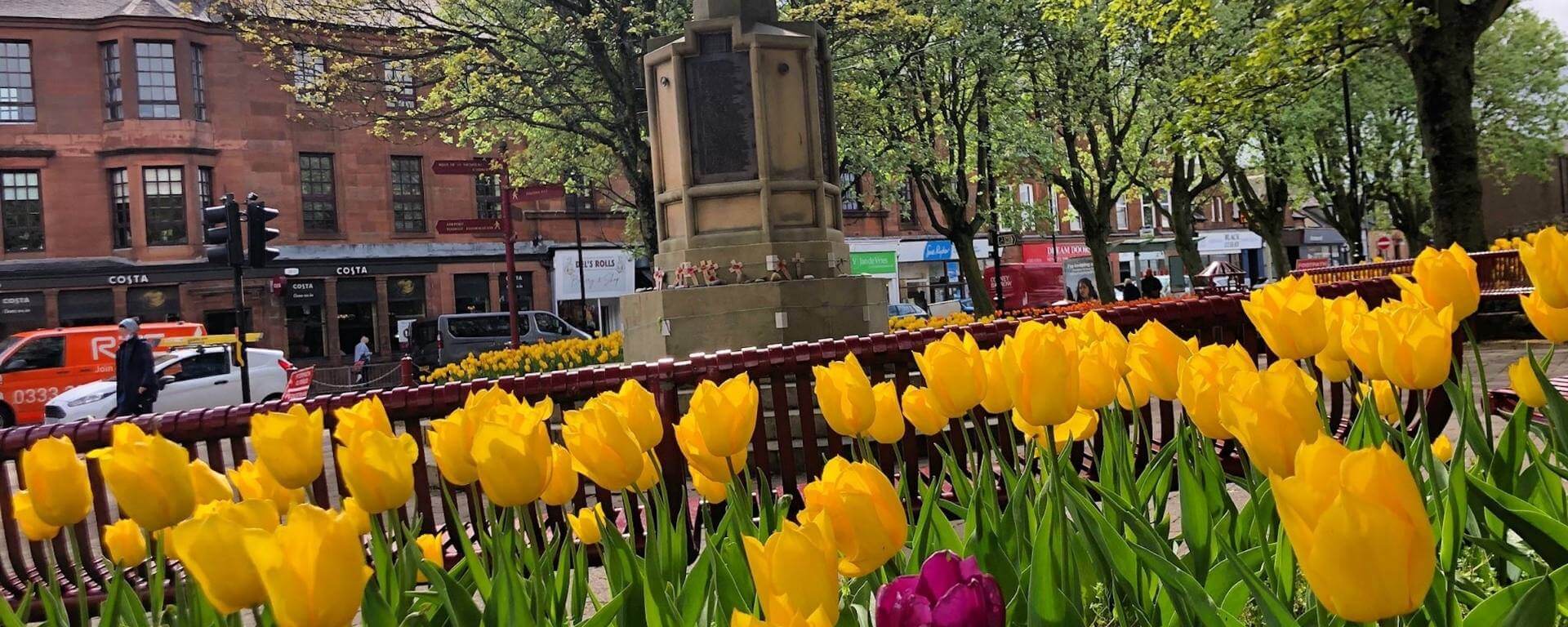 View of tulips in bloom next to memorial statue.