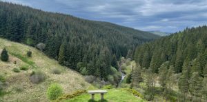 Small wooden bench overlooking rolling hills and forest.