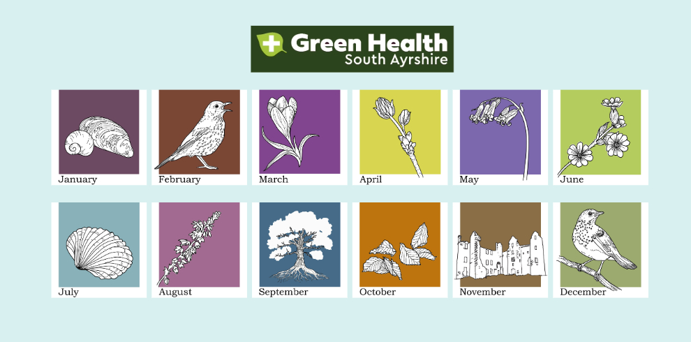 Title says Green Health South Ayrshire with pictures of trees, birds, flowers, butterflies and hedgehogs.