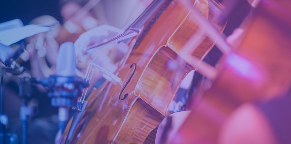 Close up shot of a violin being played.