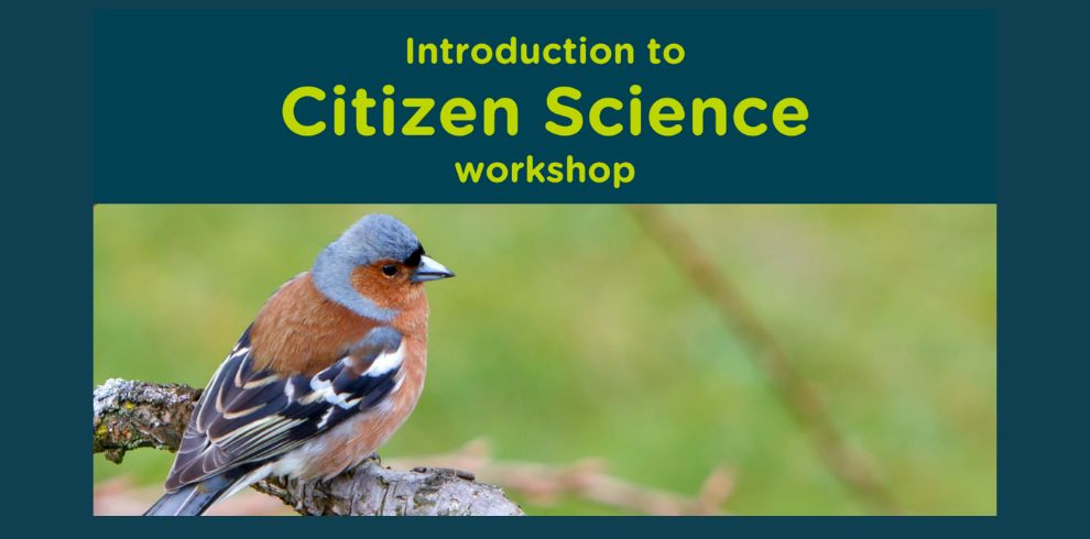 An image of a chaffinch perched on a branch, and text that says text that says "Introduction to Citizen Science workshop".