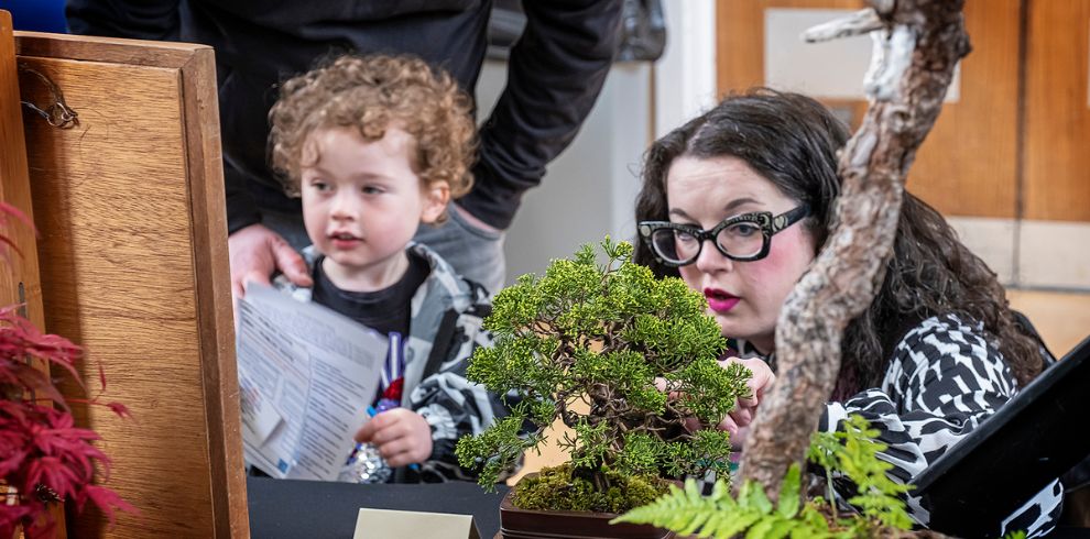 An image of and adult and a child looking at a Bonsai Tree.