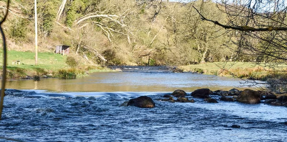 A picture of a river near McGill Cottage.