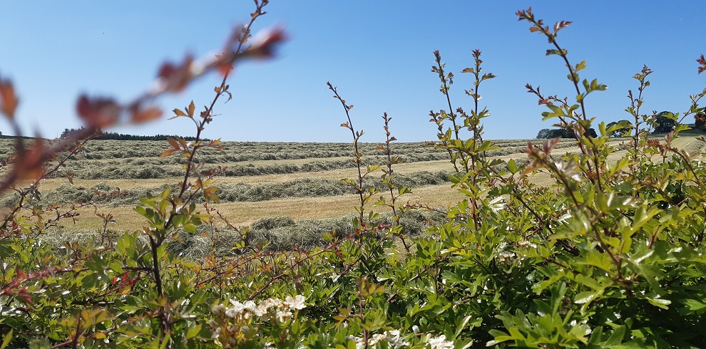 A picture of the view from Yonderton House.