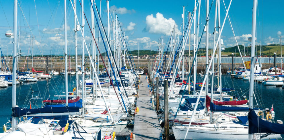 A marina full of yachts.