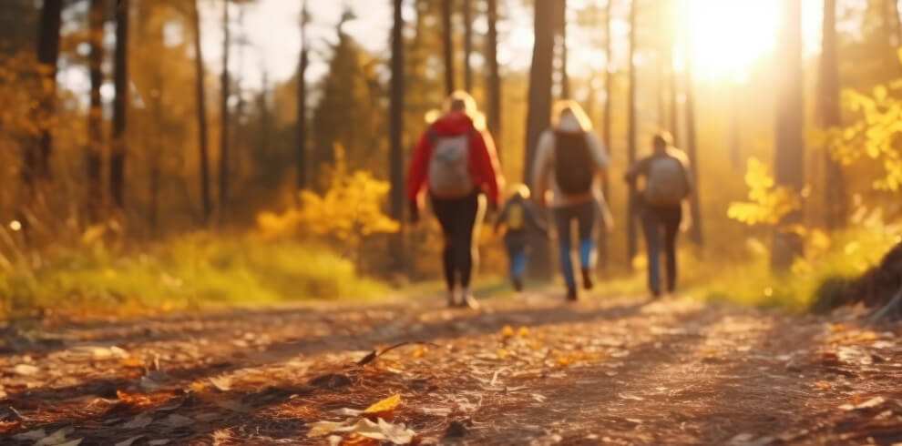 People walking towards the sunset along woodland path.