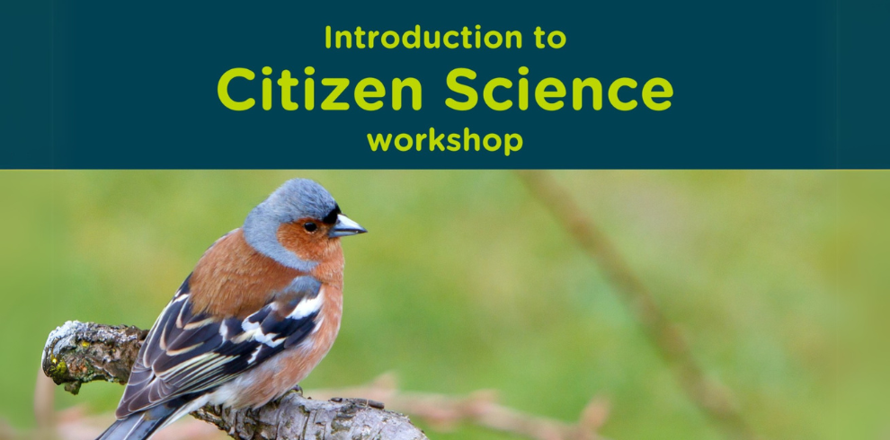 An image showing a chaffinch perched on a tree branch, with text that says 'Introduction to Citizen Science Workshop.'