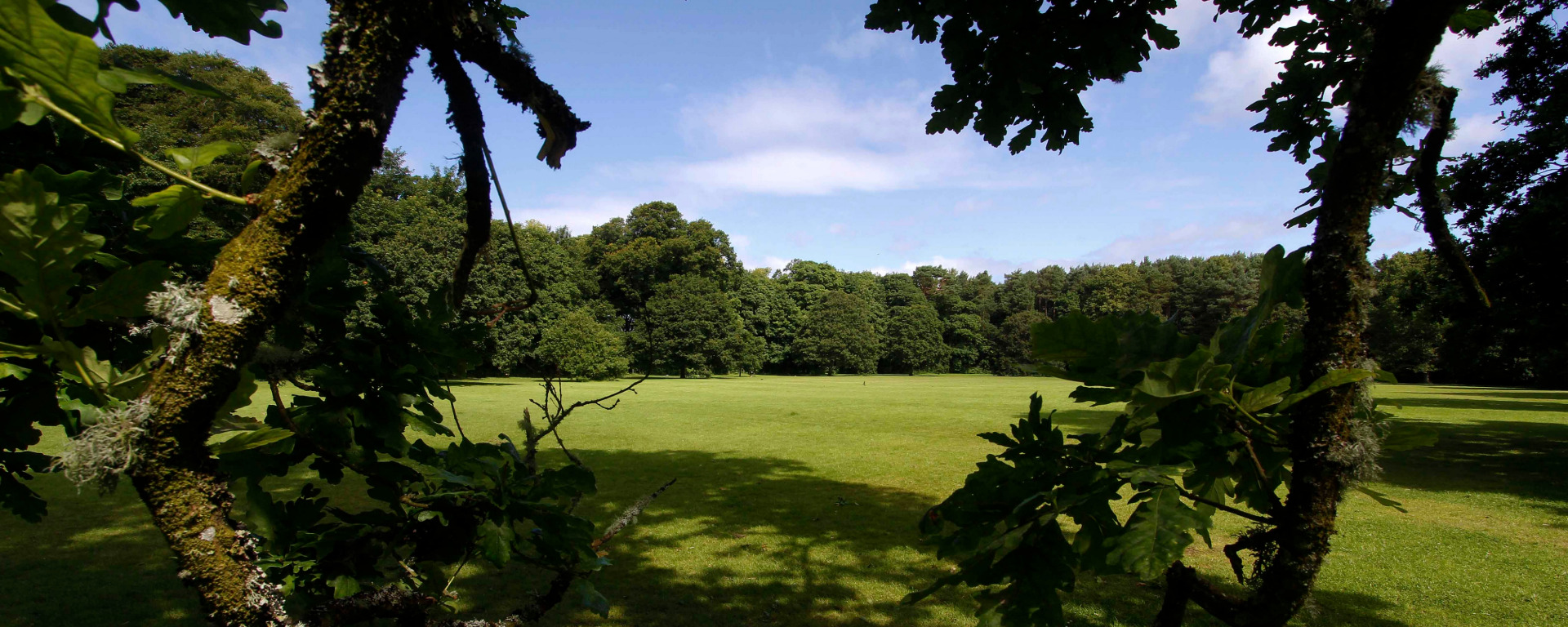 View through trees of sheltered green space.