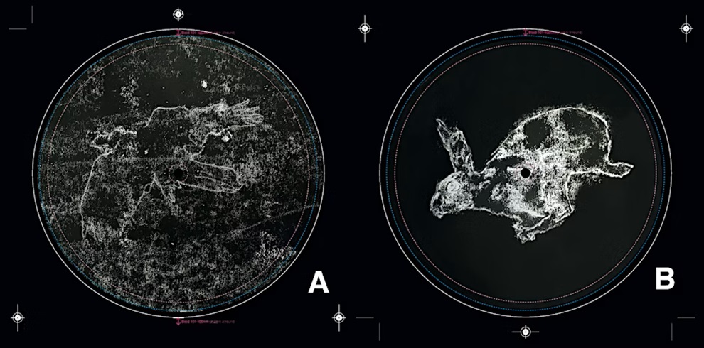 Two circular images labeled "A" and "B" show abstract, grainy white shapes on dark backgrounds. Image A resembles a roughly outlined human figure with an outstretched arm, while Image B shows a clearer silhouette of a rabbit. Both circles are framed with calibration markers and colored guide lines, suggesting they may be scans or microscope images.