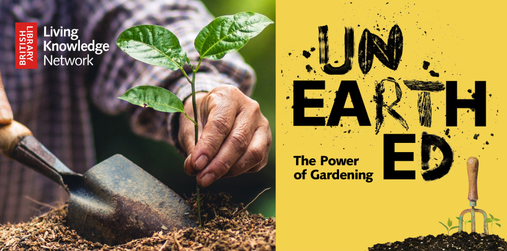 The image is a diptych, combining two distinct visuals related to gardening. On the left, a close-up photograph shows a person's hands carefully planting a small seedling with vibrant green leaves into dark, rich soil. The person is using a small hand trowel to create a hole. The background is a blurred expanse of lush green foliage, suggesting a natural outdoor setting. The focus is sharply on the hands and the delicate seedling, emphasizing the act of nurturing new growth. The person's clothing suggests they are likely an adult. On the right is a graphic poster with a bright yellow background. The title "UNEARTHED" is prominently displayed in large, textured black letters with splatters and distressed edges, giving it an organic and slightly rugged feel. Below it, in a smaller, cleaner black font, reads "The Power of Gardening". To the right of "UNEARTHED", the letters "ED" are stacked vertically in a similar textured black font. In the bottom right corner, a small hand fork garden tool is shown stuck in dark soil, with a few small green sprouts emerging. The British Library logo in red and white is located in the upper right corner, and the Living Knowledge Network logo is in the upper left. The overall effect of the diptych is to connect the practical, hands-on act of gardening with a broader theme or event, likely related to the "UNEARTHED: The Power of Gardening" initiative by the British Library and the Living Knowledge Network.
