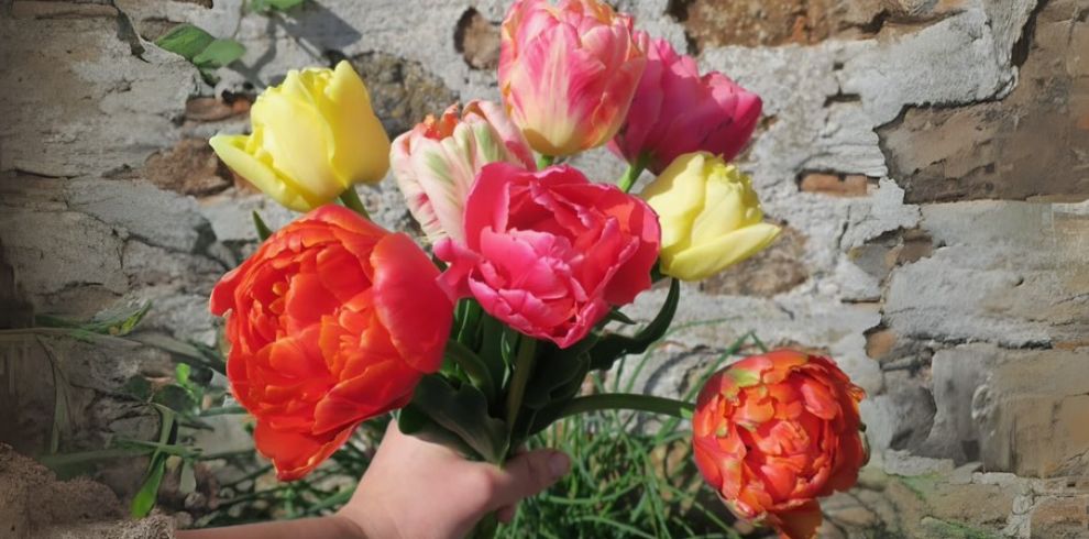 An image of a floral bouquet.