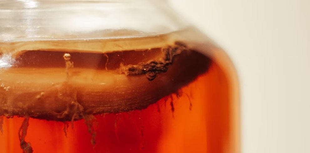 Close-up of a glass jar filled with kombucha, showing a thick SCOBY layer floating at the surface of the amber liquid.