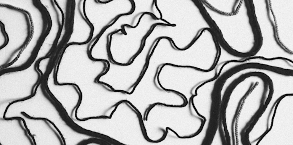 Close-up of several strands of twine and bread crust arranged in abstract, wavy patterns on a flat surface, resembling an artistic line drawing in black and white.