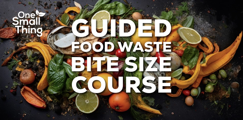 A dark tabletop covered with a colourful assortment of fruit and vegetable scraps, including citrus halves, leafy greens, herbs, tomato pieces, and various peels. Over the centre of the image, large white text reads “GUIDED FOOD WASTE BITE SIZE COURSE.” In the top-left corner, a white logo displays the words “One Small Thing” with a small leaf graphic.