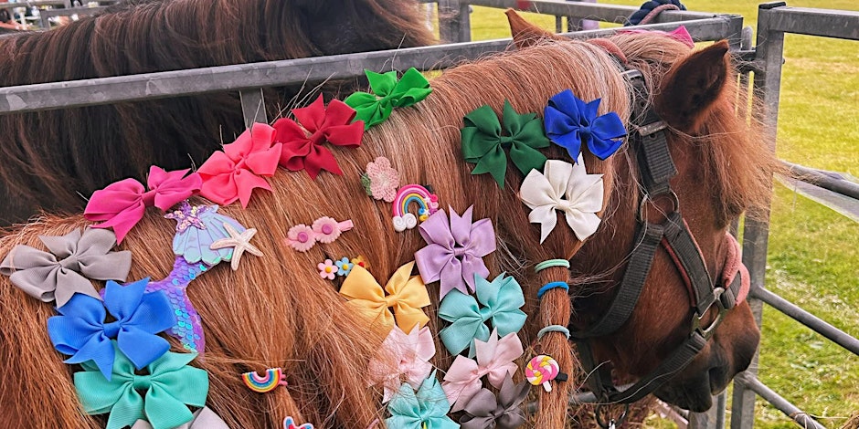 A small brown pony stands in an outdoor pen with its mane decorated in a variety of colourful bows and clips. The pony’s long, reddish-brown mane is covered with neatly arranged accessories, including large fabric bows in bright colours such as pink, green, blue, white, teal, and lavender. Smaller decorative clips shaped like stars, rainbows, unicorns, and flowers are also attached throughout the mane. The pony wears a halter, and another pony is partially visible in the background. The setting appears to be a fenced grassy area on a bright day.