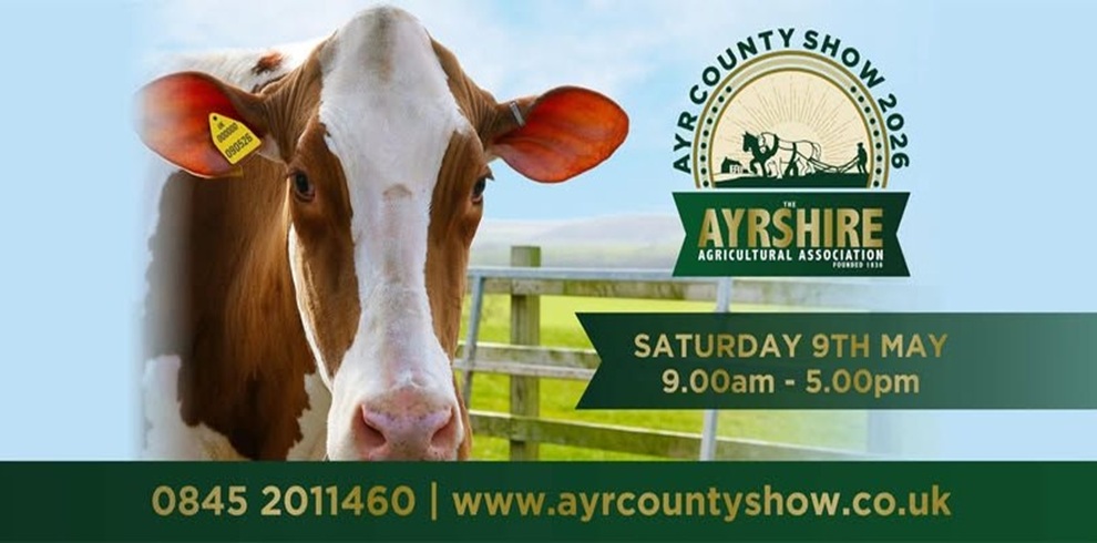 Promotional poster for Ayr County Show 2026. A close-up of a brown and white cow with ear tag stands in a green field beside a wooden fence under a blue sky. Text reads: ‘Ayr County Show 2026 – Ayrshire Agricultural Association.’ Event details: ‘Saturday 9th May, 9.00am–5.00pm.’ Contact information at the bottom: ‘0845 2011460 | www.ayrcountyshow.co.uk.