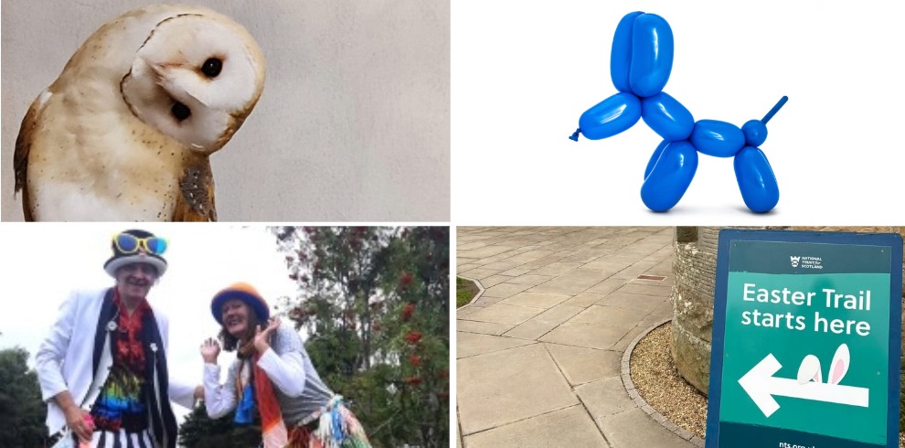 A collage with an image of an owl, a dog balloon animal, circus performers and a sign direction sign.