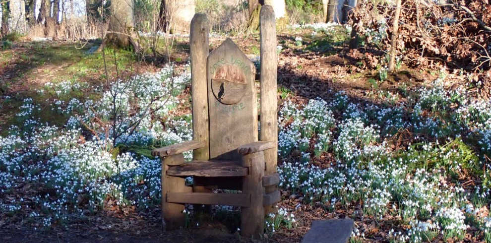 Wooden carved chair in woodland setting.