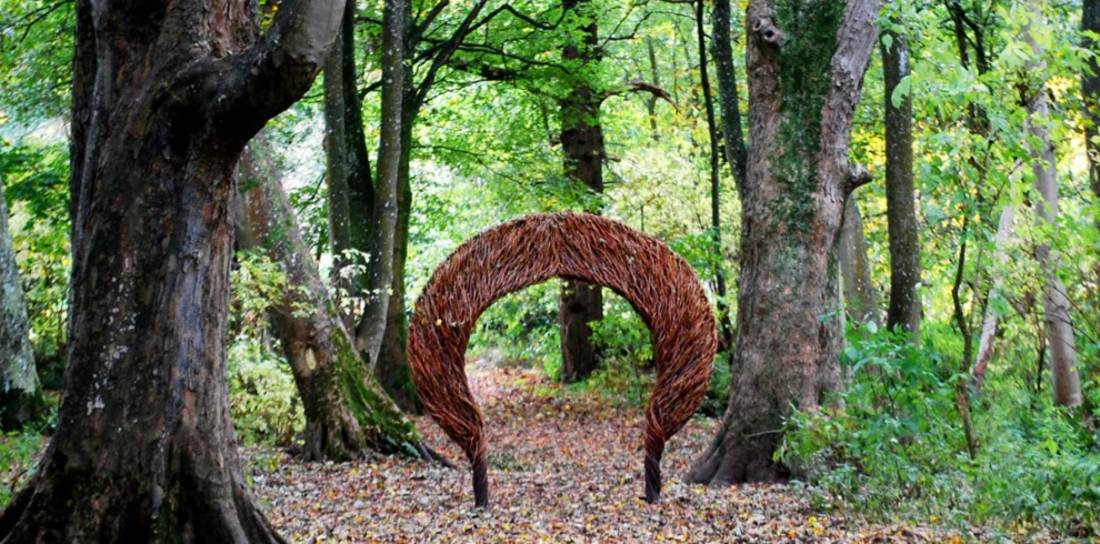Willow arch in woodland setting.