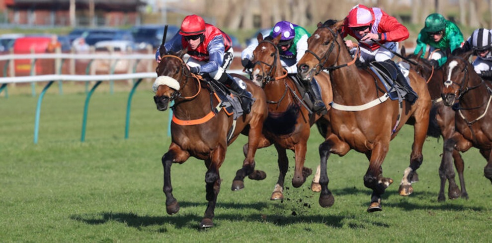 A photograph of several racehorses galloping on a grassy racecourse during a horse race. In the foreground, a brown horse with a jockey wearing a red helmet is slightly ahead, while other horses run closely behind with jockeys wearing purple, red, green, and white racing silks. The horses are tightly grouped, hooves lifted off the ground as they race forward. White railings and blurred spectators appear in the background on a bright day.