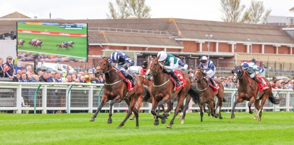 Several racehorses with riders gallop along a green turf track during a horse race, with the leading horses in the foreground. Spectators line the railings beside the track, and a large screen and grandstand are visible in the background.