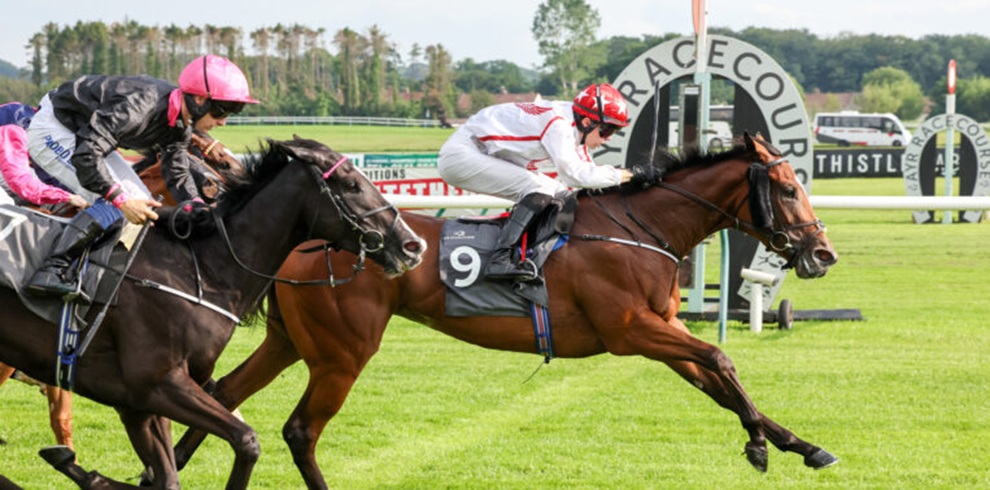 A photograph of two racehorses galloping side by side on a grassy racecourse, approaching the finish area. In the foreground, a brown horse wearing a saddlecloth marked “9” is slightly ahead, ridden by a jockey in white and red racing silks. Close behind, a dark‑colored horse is ridden by a jockey wearing a pink helmet and black silks. A racecourse sign and white railings appear to the right, with trees and racecourse buildings visible in the background under daylight.