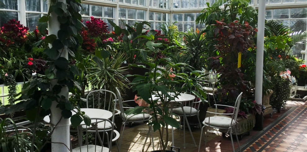 Large exotic plants and seating area in a glass conservatory.