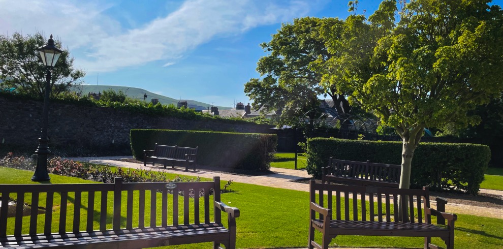 Garden on a sunny day with trees and grassy area and bench.