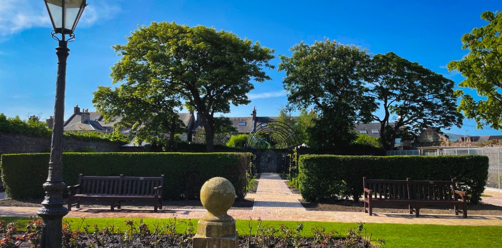 Garden on a sunny day with trees and box hedge.