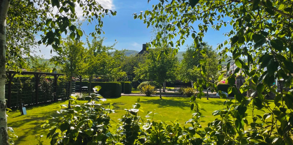 Garden on a sunny day with trees and grassy area.