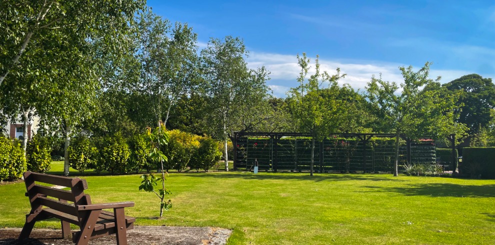 Garden on a sunny day with trees and grassy area and bench.