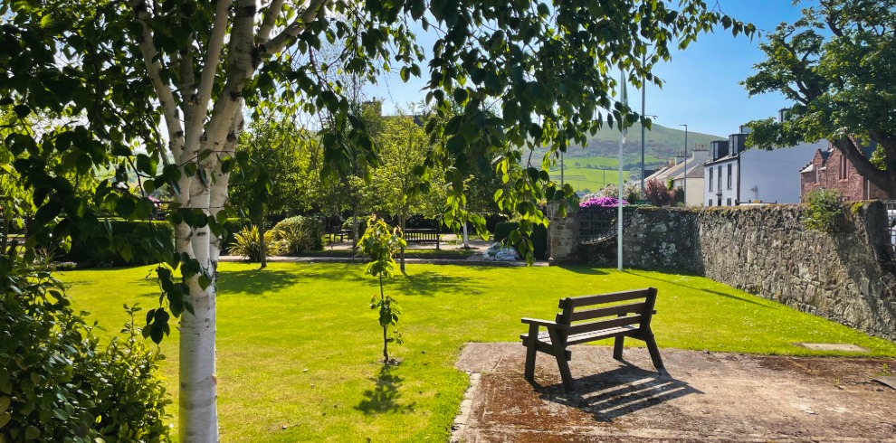 Garden on a sunny day with trees and grassy area and bench.