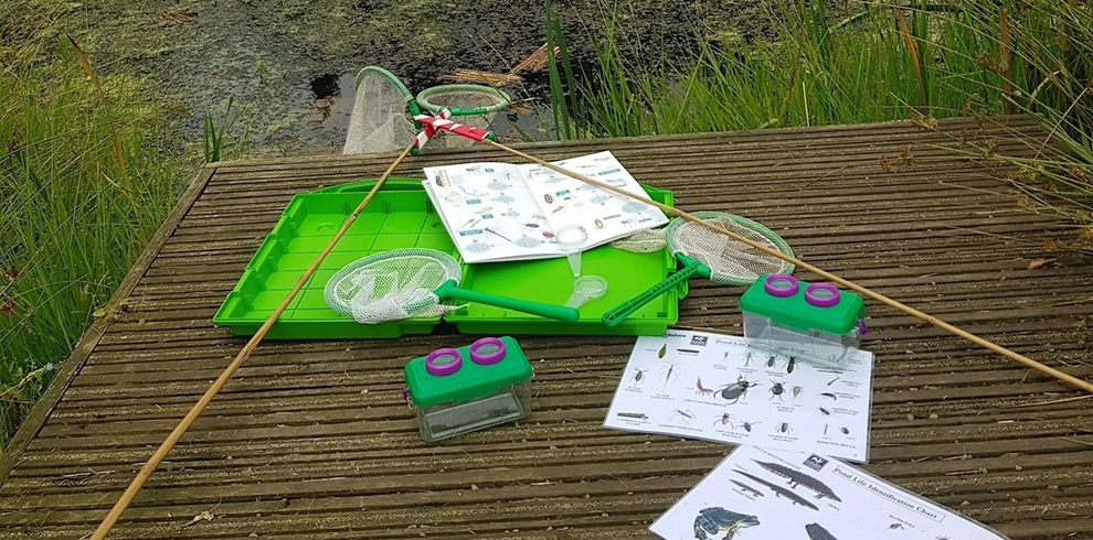 A wooden dock beside a pond is covered with pond‑dipping equipment and wildlife guides. On the decking, two long-handled nets with white mesh heads lie crossed over a bright green plastic tray filled with smaller nets and tools. Several clear sample containers with green lids and purple magnifying tops are placed nearby. Printed identification sheets showing drawings of insects and aquatic creatures are spread around the equipment. In the background, still water with patches of green algae is bordered by tall grass and reeds.