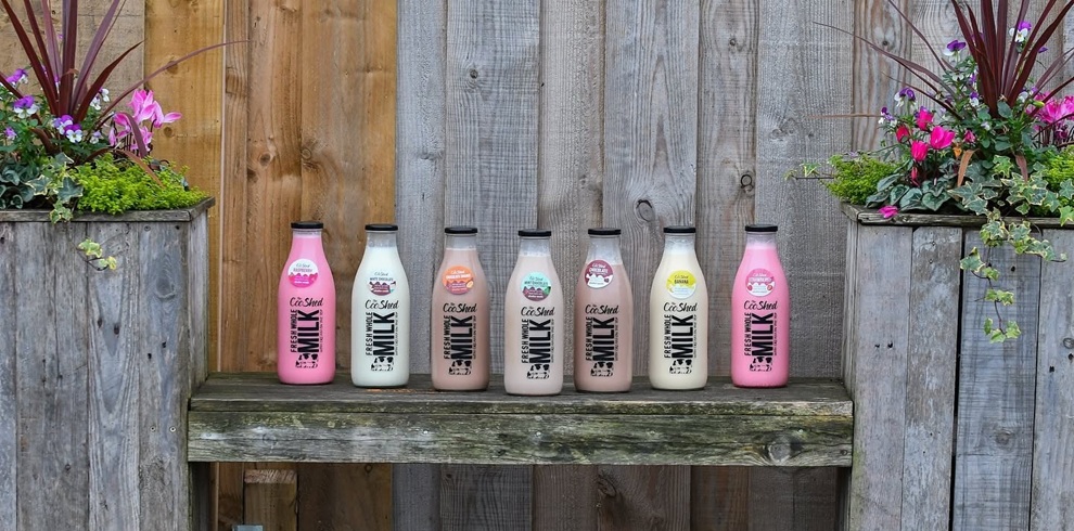 Row of glass milk bottles filled with pink and white flavoured milk, labelled “Coo Shed Fresh White Milk,” neatly lined on a rustic wooden bench against a timber fence, with colourful flower planters on either side.