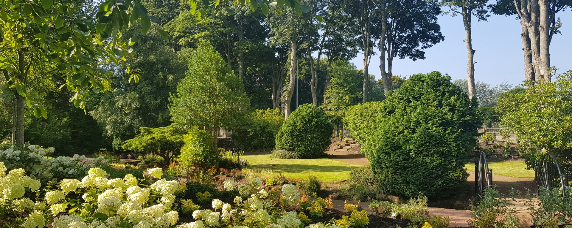 Tree lined garden area with beautiful plants.