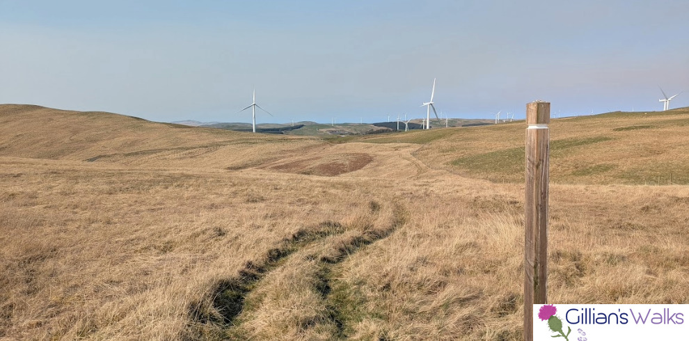 Pathway through rugged field. Wind turbines in the distance.