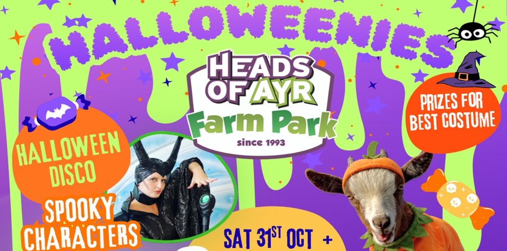 Colorful Halloween-themed promotional poster for Heads of Ayr Farm Park. Large purple bubble text at the top reads “Halloweenies” against a bright green background with purple slime drips, stars, confetti, and a cartoon spider. The centre features the Heads of Ayr Farm Park logo. On the left, an orange circle advertises a “Halloween Disco” and “Spooky Characters,” with a photo of a costumed character below. On the right, an orange circle reads “Prizes for Best Costume,” next to a goat dressed in an orange pumpkin costume. Additional text at the bottom includes “Sat 31st Oct +”. The design uses vibrant Halloween colours including purple, orange, green, and black.