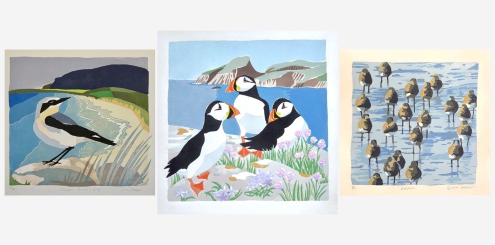 Three different prints of wildlife.
